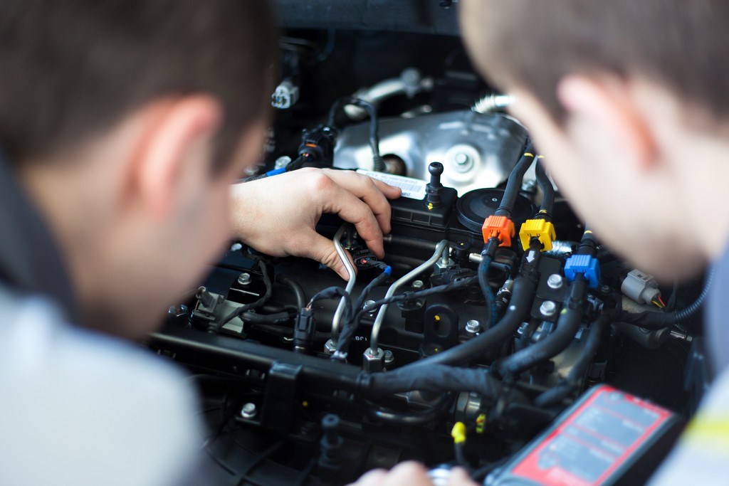 Galeri Fotoğrafı 16